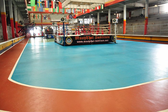 Indoor Gym with 2 MuayThai standard rings with heavy bags, all equip and other activities.