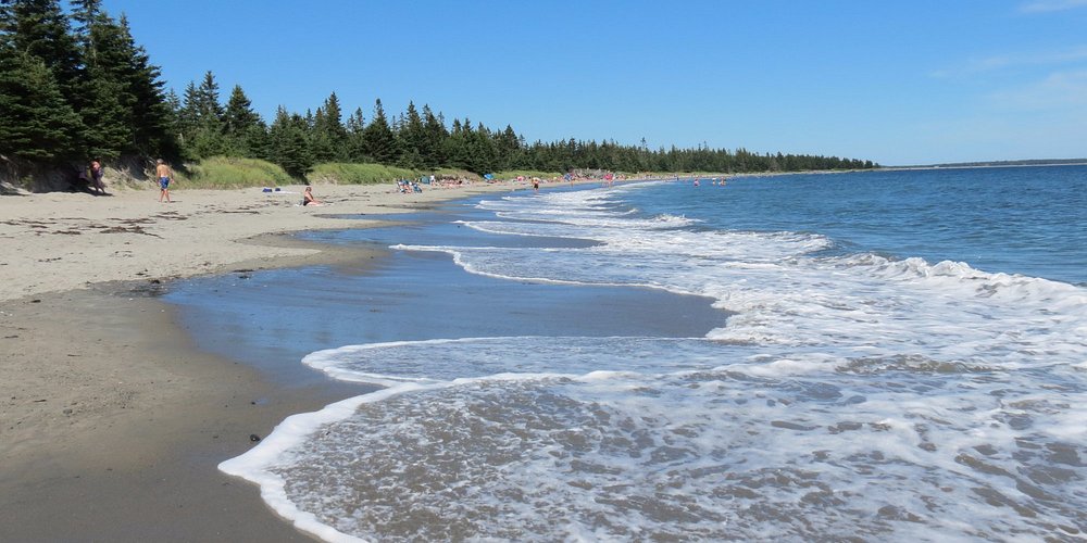 Petite Riviere, Nova Scotia 2023 Best Places to Visit Tripadvisor