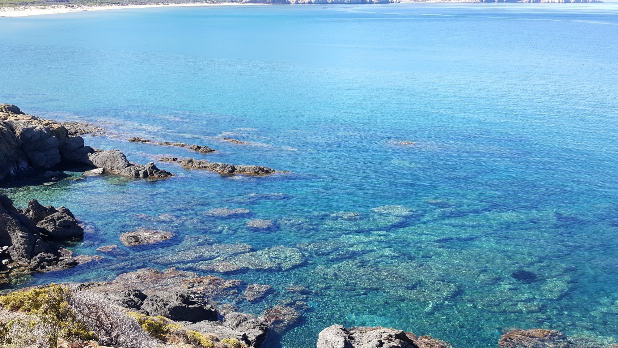 Hotel Golfo del Leone by null