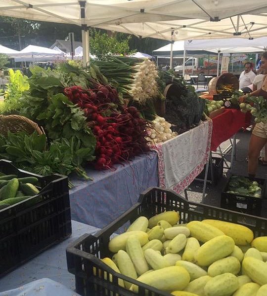 Swarthmore Farmers Market image