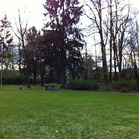 Schnappschuss Liederbacher Park im Herbst