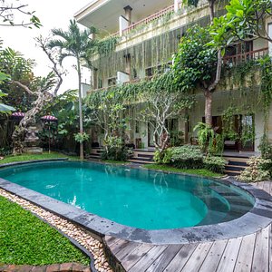 The Pool at the Padma Ubud Retreat