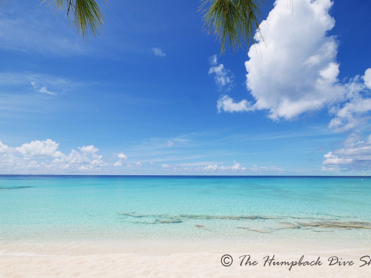 THE HUMPBACK DIVE SHACK (Grand Turk) - All You Need to Know BEFORE You Go