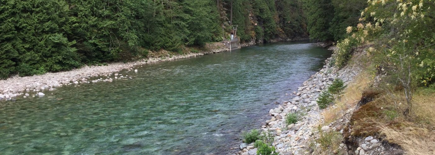 Chehalis River near the hatchery.