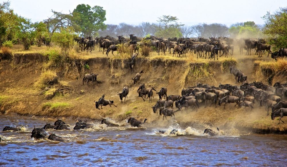 Conserving Tanzania: A luxury venture into the Serengeti