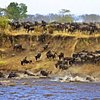 Things To Do in 5 Days Big five safaris, Restaurants in 5 Days Big five safaris