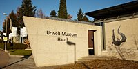 Musée d'Urwelt HauffMusée d'Urwelt Hauff