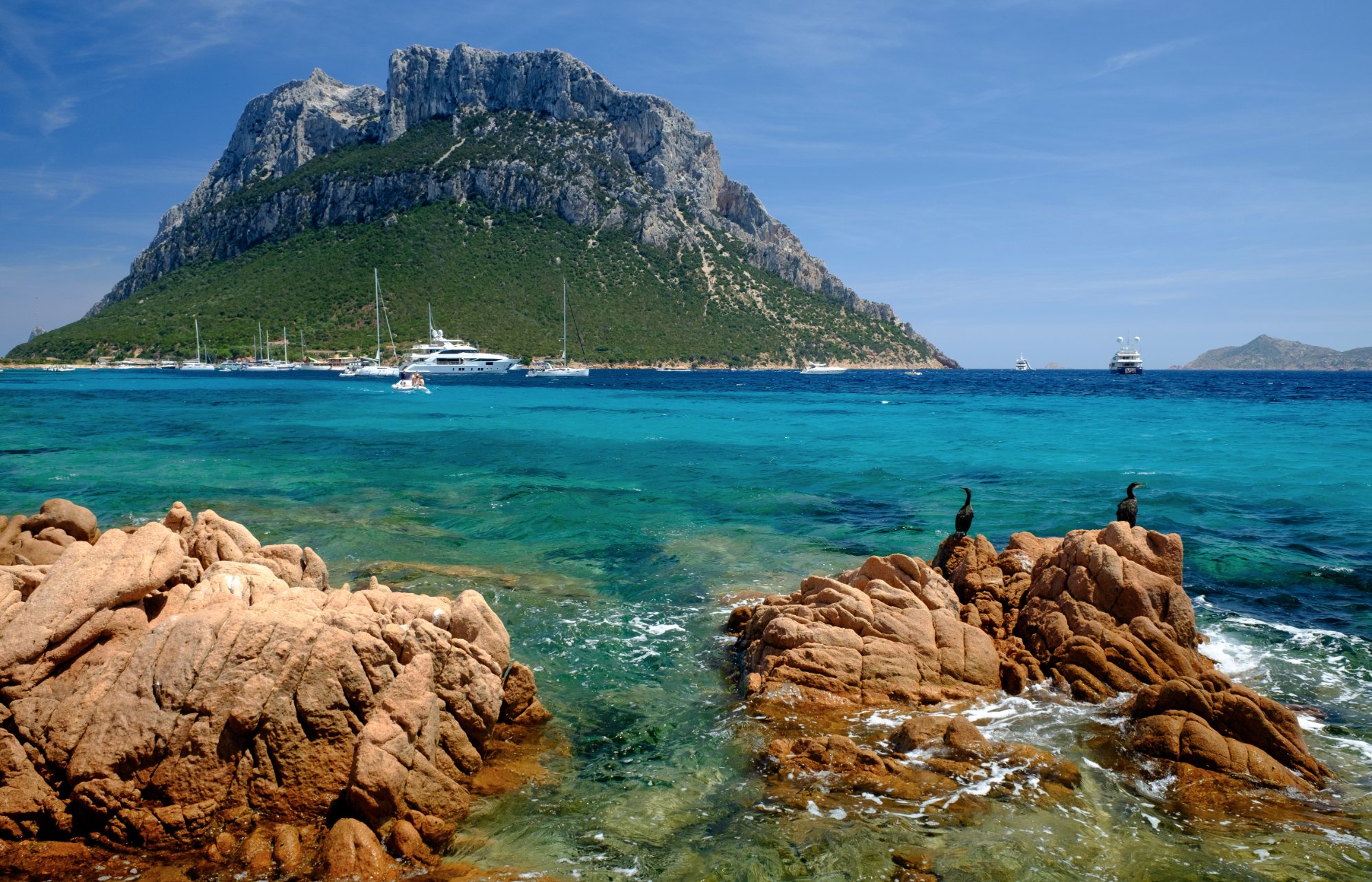 L'Area Naturale Marina Protetta Tavolara - Punta Coda Cavallo