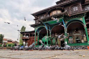 Swiss Hotel Kashmir in Srinagar, image may contain: Person, Bird, Animal
