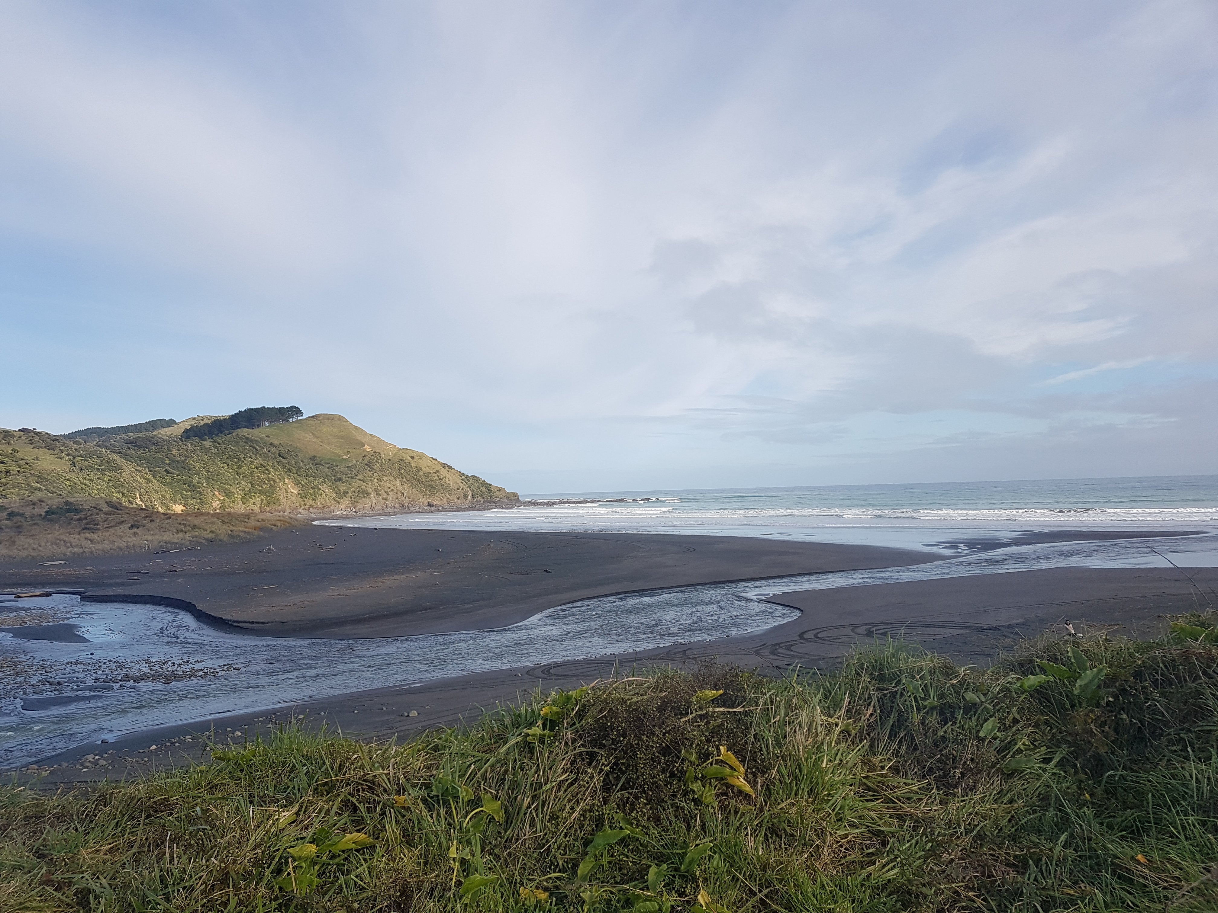 WAITOMO CAVES TOURS & TRANSFERS : Ce Qu'il Faut Savoir Pour Votre ...