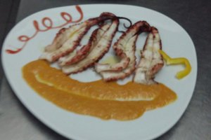 Cibo