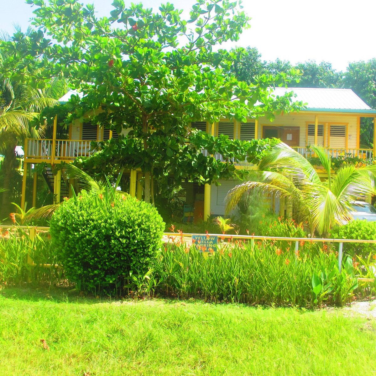 yellow-bella-house-updated-2022-reviews-belize-placencia