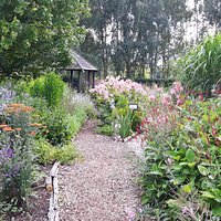 View through the Bog Garden