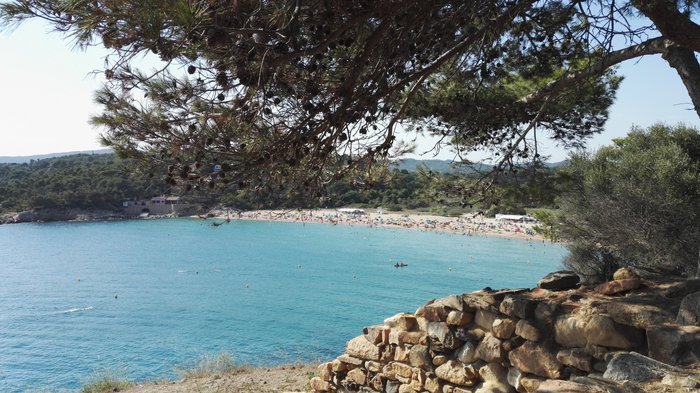 Imagen 6 de Platja de Castell