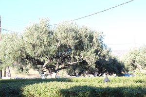 Camera e suite