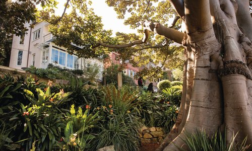 Image credit: Destination NSW