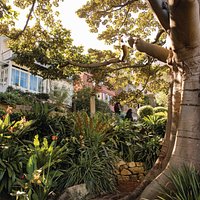 Image credit: Destination NSW