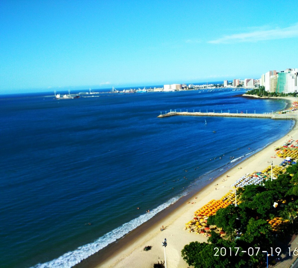 Sem perceber, banhista nada ao lado de tubarão em praia de Fortaleza, Ceará