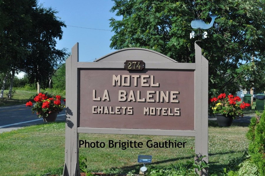 Motel La Baleine Québec Canada