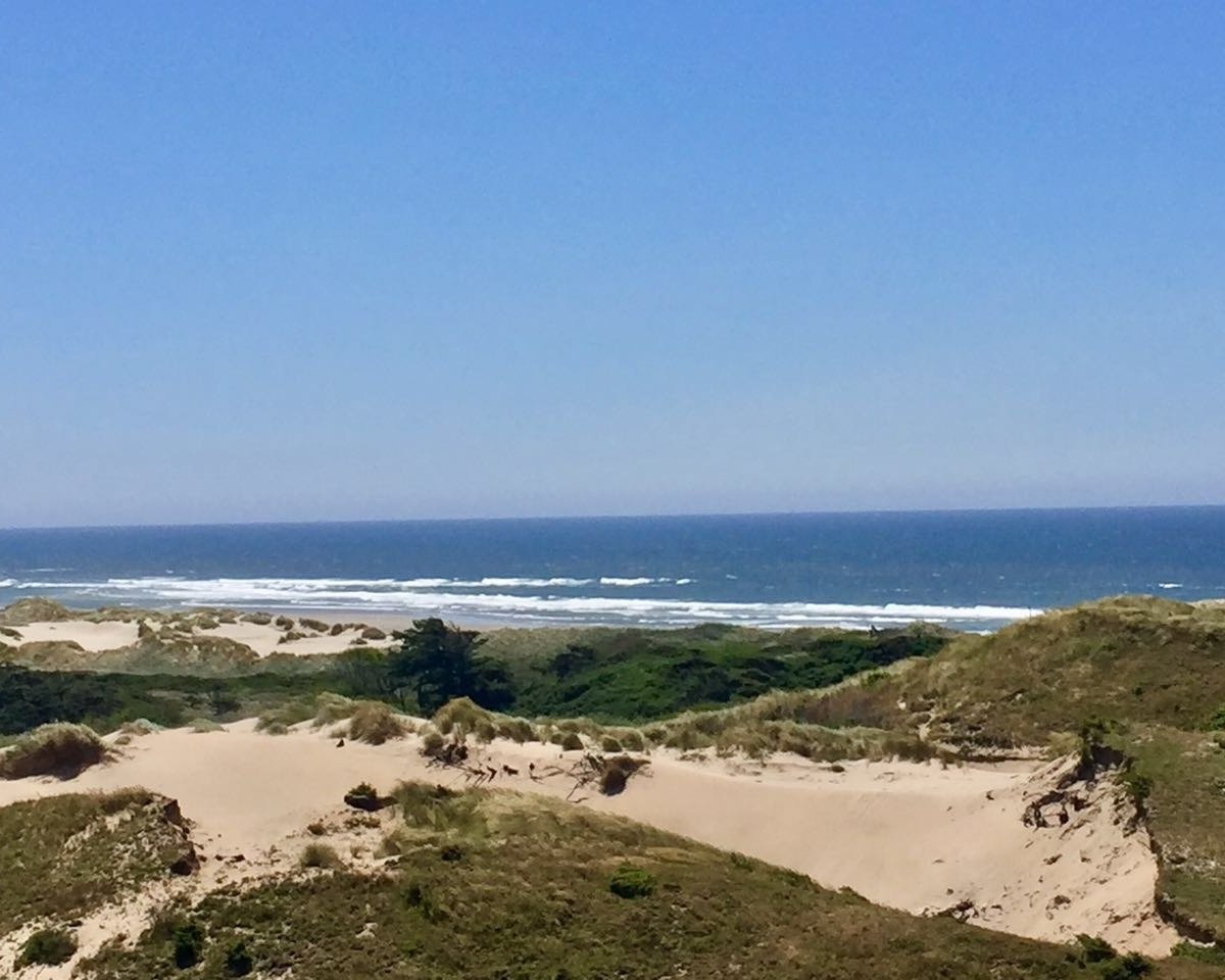 Oregon Dunes National Recreation Area (Reedsport) All You Need to