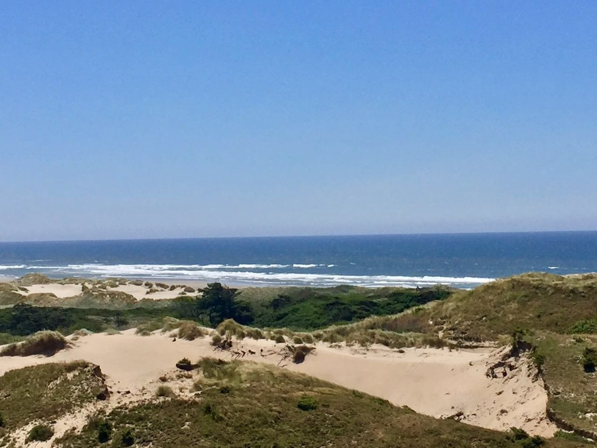 Oregon Dunes National Recreation Area: Your Epic Coastal Adventure Awaits!