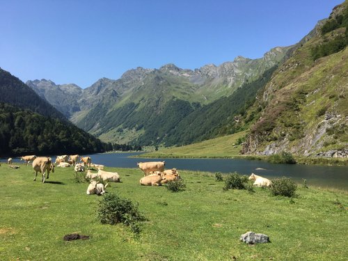 Hautes-Pyrenees review images