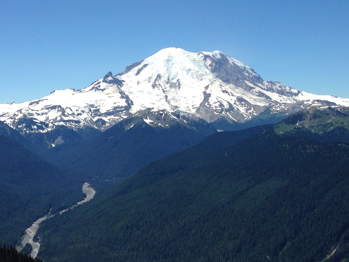 are dogs allowed in rainier national park