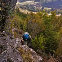 Up along the Escarpment track