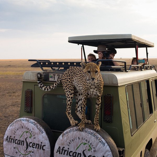 makasa safaris tanzania