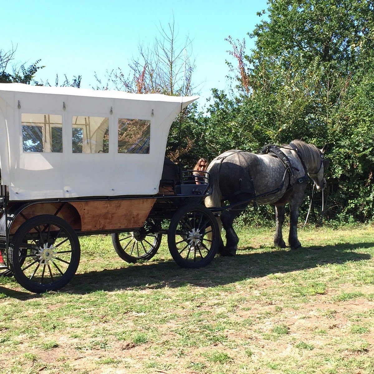 Randonner à cheval  Dieppe, site officiel de l'Office de tourisme de  Dieppe-Maritime