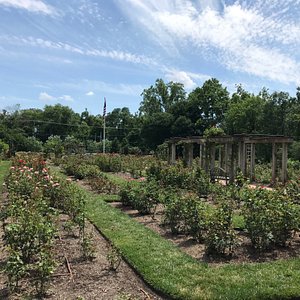 Long Branch Nature Center at Glencarlyn Park – Official Website of