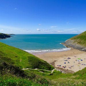 Cardigan Island Coastal Farm Park - All You Need to Know BEFORE You Go