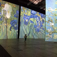 Exposition immersive dans les œuvres de van gogh, émotion et découverte garantie devant ces tabl