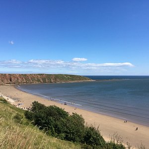 FILEY BIRD GARDEN & ANIMAL PARK - All You Need to Know BEFORE You Go