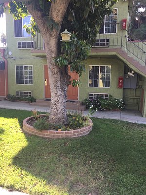 Victory Motel Inn in Glendale, image may contain: Potted Plant, Backyard, Grass, Tree