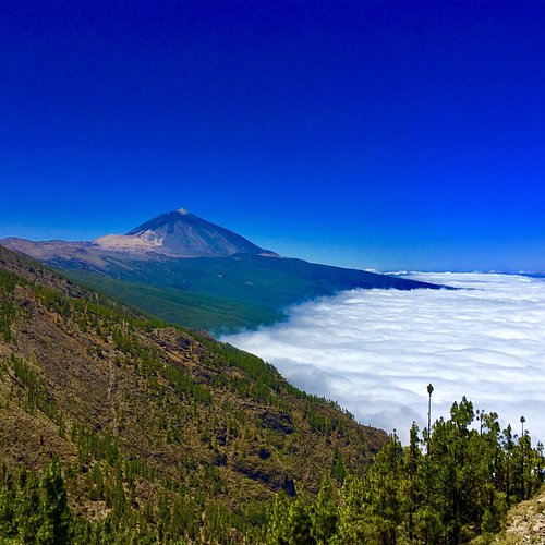 tenerife islas canarias