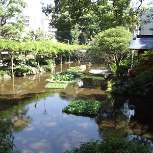 shampoo, balsamo e bagnoschiuma - Picture of Tokyo Garden Palace, Bunkyo -  Tripadvisor