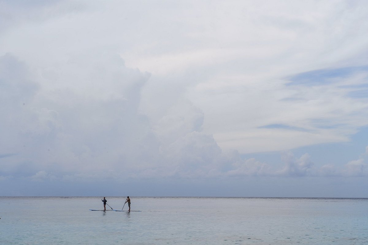 SUP Stand Up Paddle Board (Cozumel) - All You Need to Know BEFORE You Go