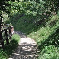 Sentiero verso il Belvedere © eccoLecco