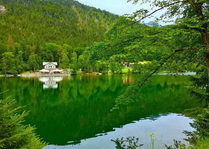 Thumsee 