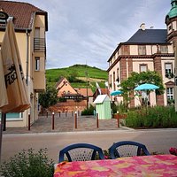 pohľad z terasy hotela na blízke vinice