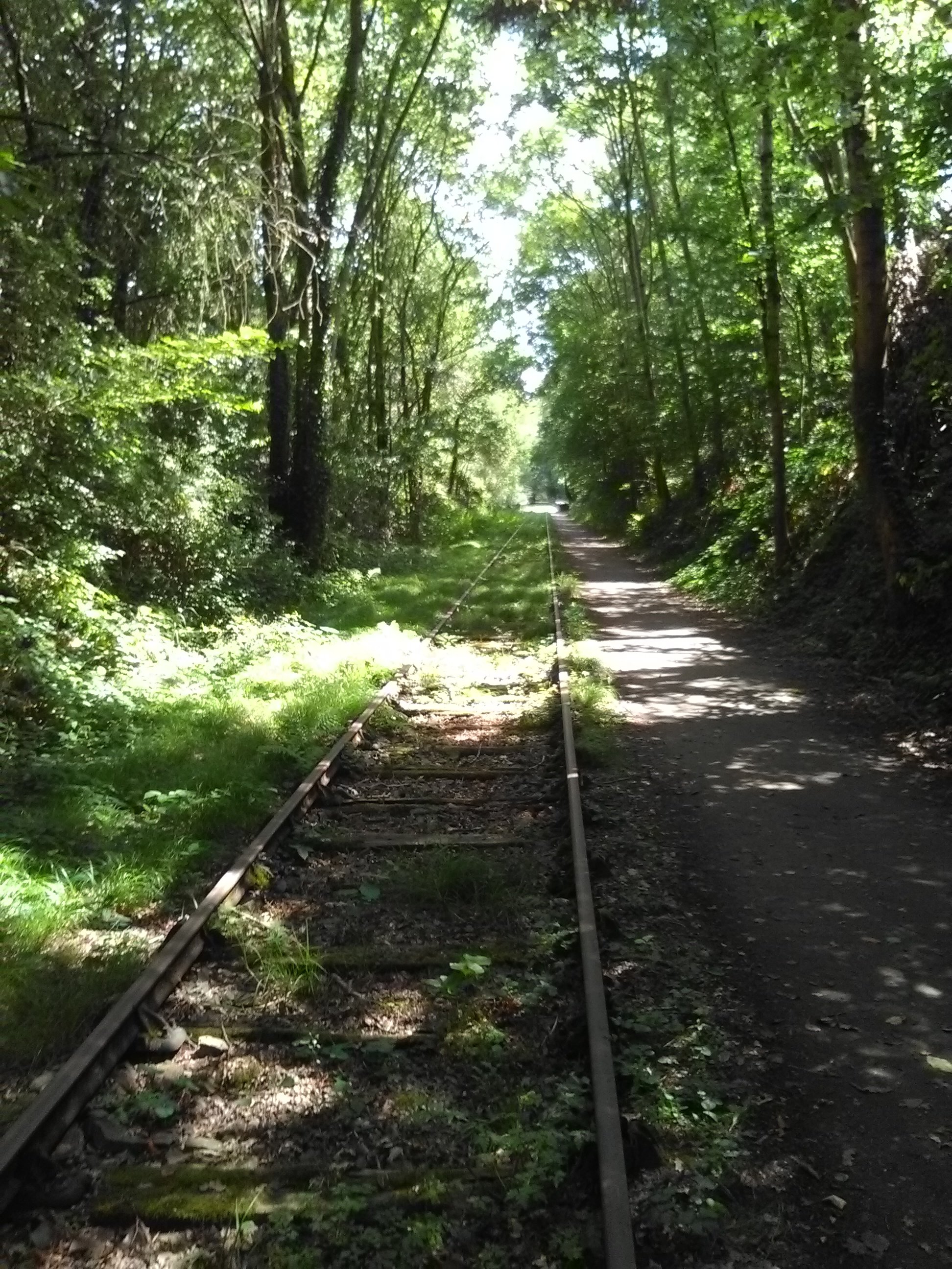 Le v lo rail de Saint Loup du Gast All You Need to Know BEFORE