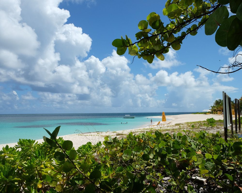 THE 15 BEST Things to Do in Anguilla (2024) - Must-See Attractions