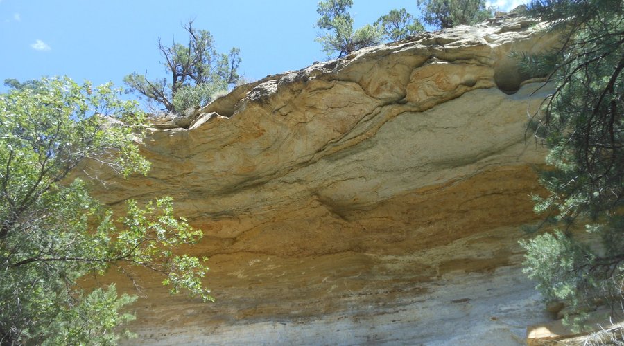 Wall