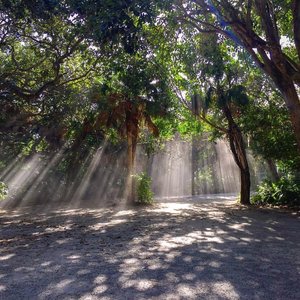 Manasota Beach Club, hotel in Englewood