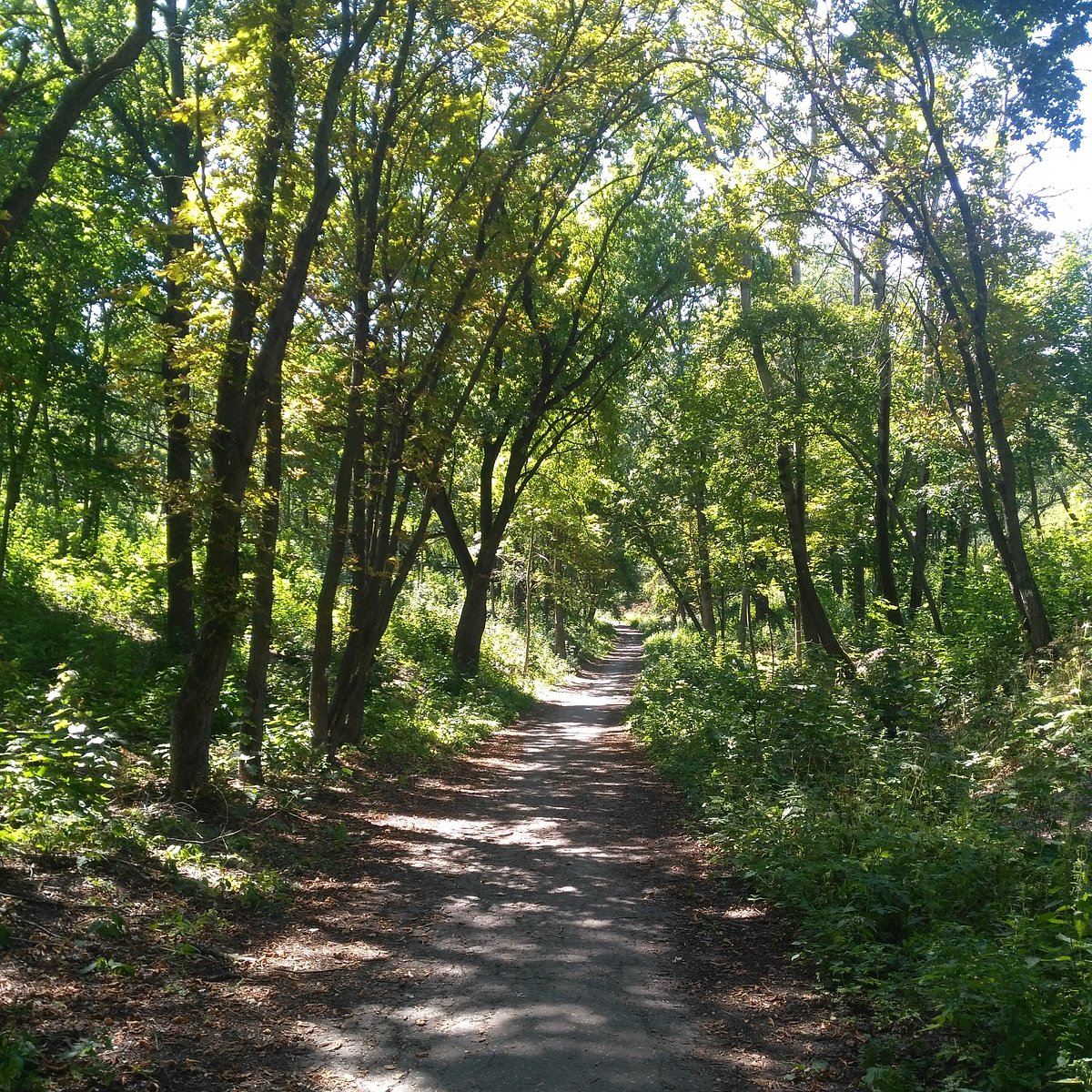 Ботанический сад в воронеже фото