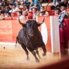 Andrés S