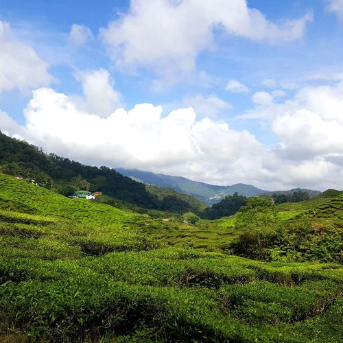 Malaysia’s Scenic National Trails - Sustainable Trekking Practices