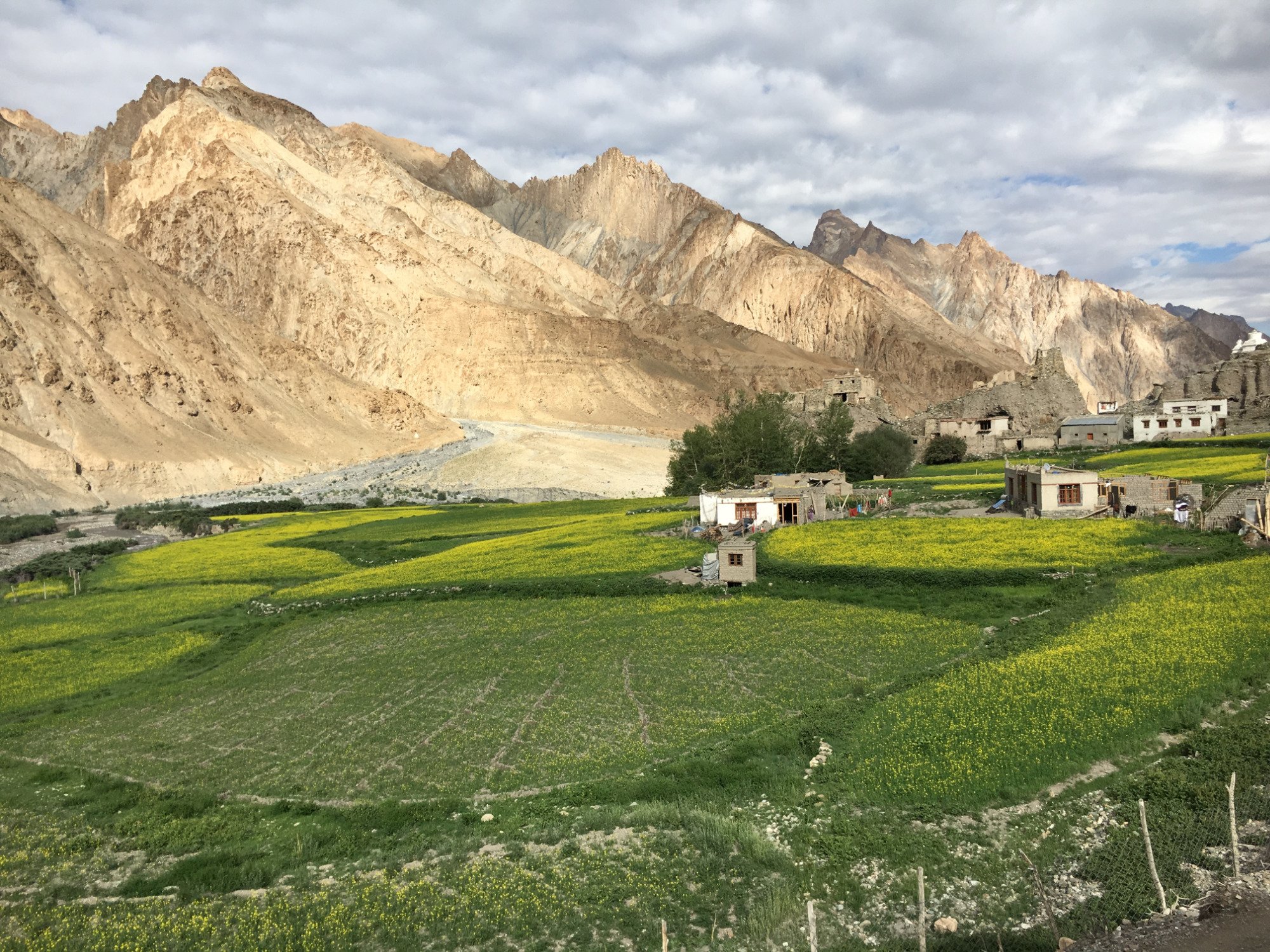 Markha valley clearance