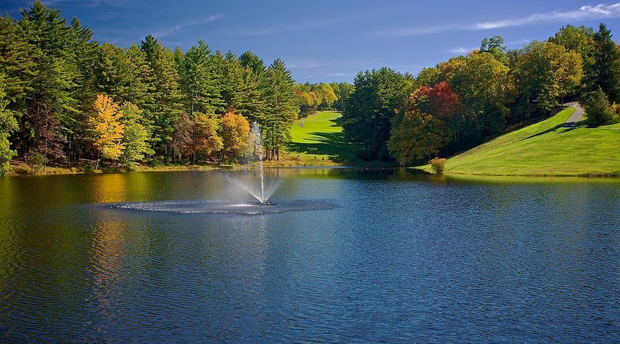 The lake 